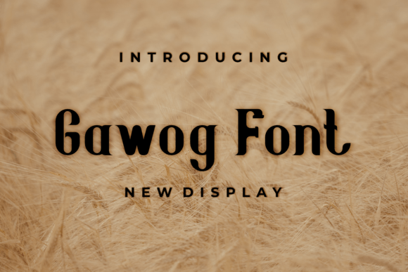 Gawog: A Stylish Display Font for Confident Branding