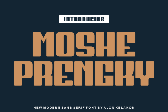 Moshe Prengky: A Bold Display Font for Small Business Branding