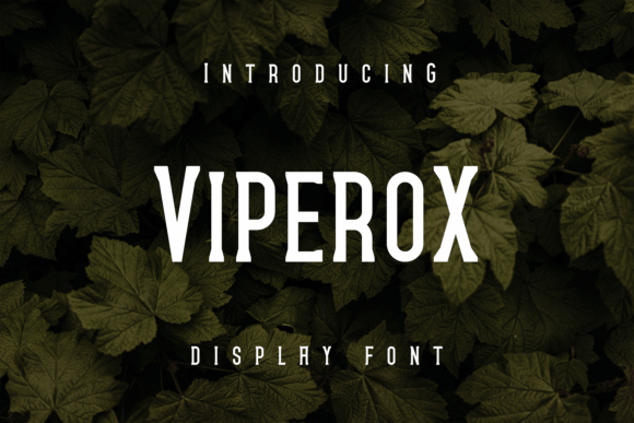 Viperox: A Bold, Playful Display Font for Standout Branding